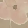 Paper Poppies, Beige