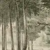 Lovers Forest, Green