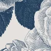 Bold Roses, Blue
