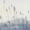 Sea View, Soft Blue