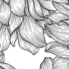 Dahlia Lines, Black