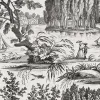 Verdant Toile, Black