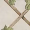 Ivy Trellis, Beige