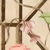 Garden of Secrets, Pink