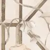 Garden of Secrets, Beige