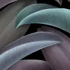 Grand Leaves, Purple