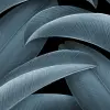Grand Leaves, Blue