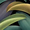 Grand Leaves, Multi