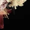 Delightful Flowers, Dark
