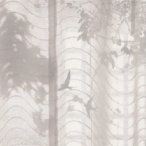 Hortus Umbra