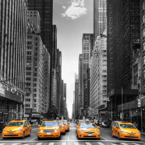 New York buildings and taxis wall mural