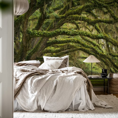 Une forêt magique comme décor mural