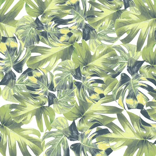 Jungle mural wallpaper with monstera leaves