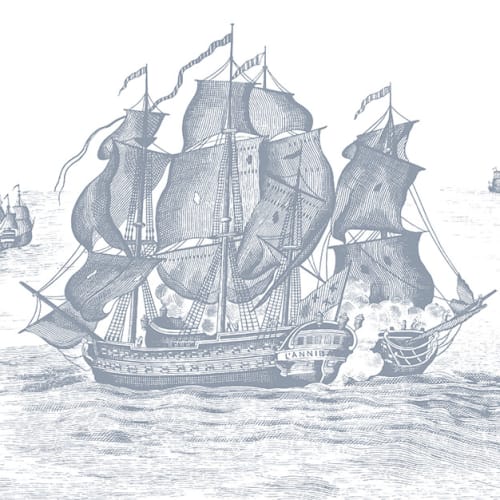 A WALL MURAL SUITABLE FOR A PIRATE
