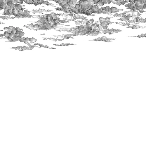 CLOUDS DRIFTING BY