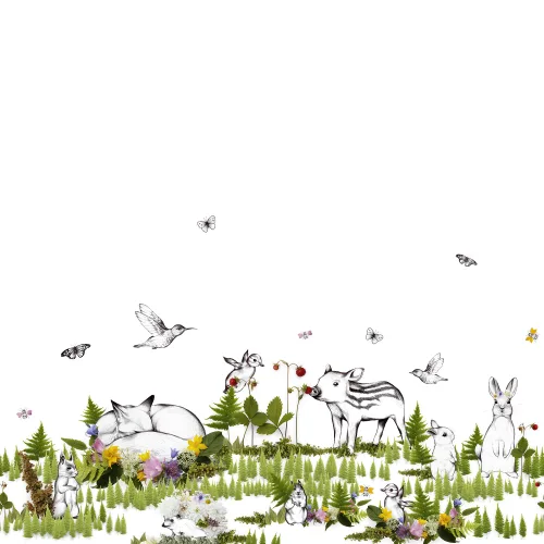 Meet the animals of the woods