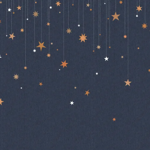REACH FOR THE STARS