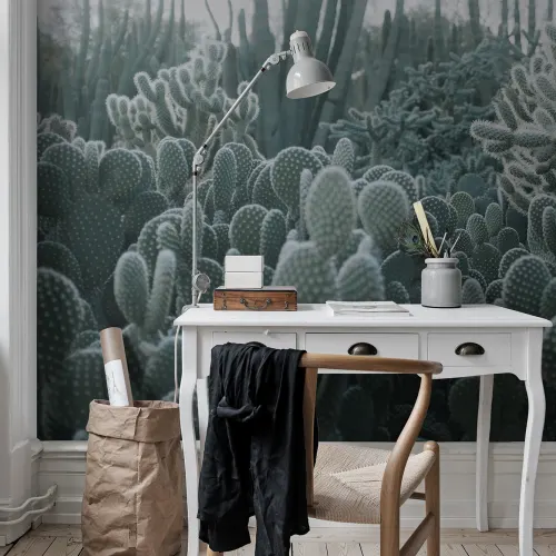 Cacti