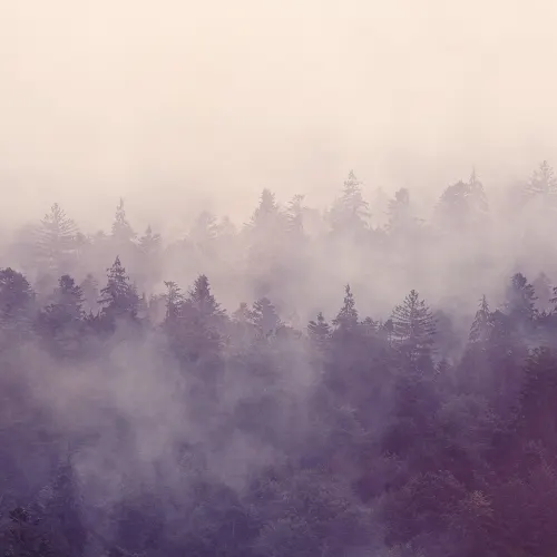 La brume de l'aube