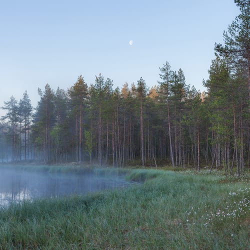 Midnight in Sweden