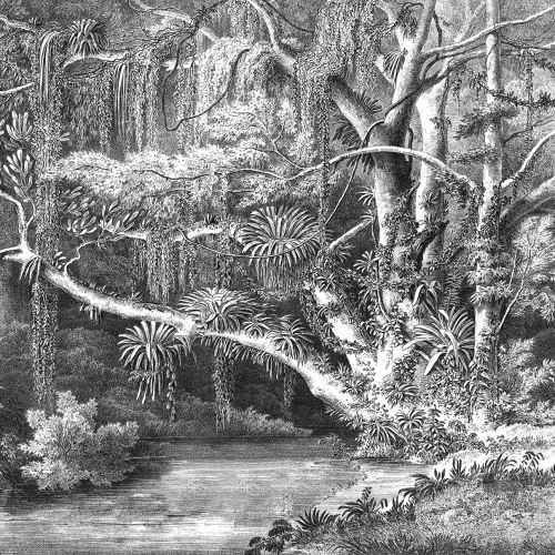 Lush oasis