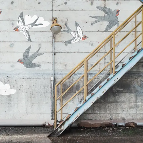 Dreams and decay