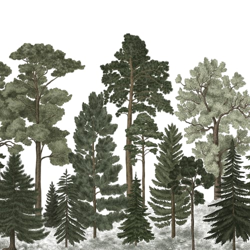Waldtapete mit Nadelbäumen