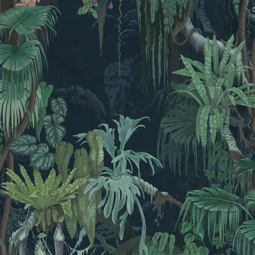 Home of the chameleon