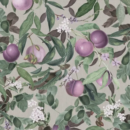 Peach Valley, Lilac