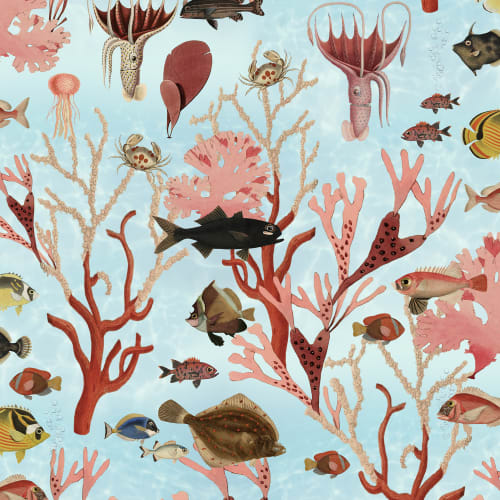 Aquarium, Mint