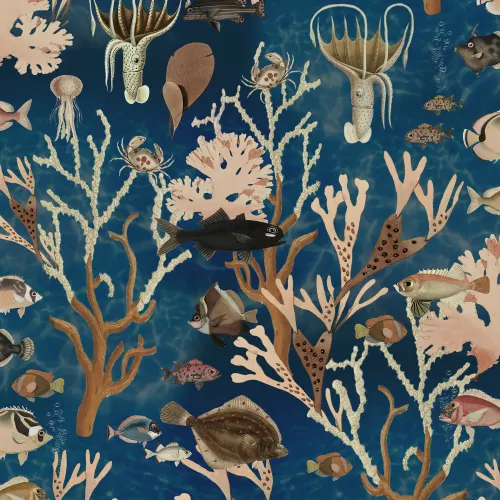 Aquarium, Ocean