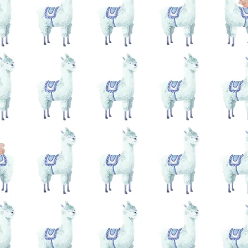 Alpaca Rebel, Sky