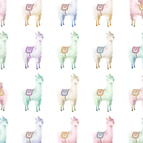 Alpaca Rebel, Rainbow