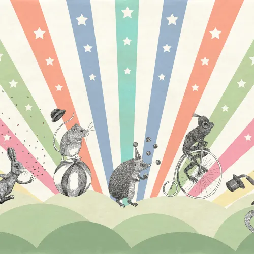 Circus, Rainbow