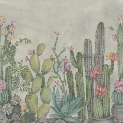 Playfull Cactus, Summer