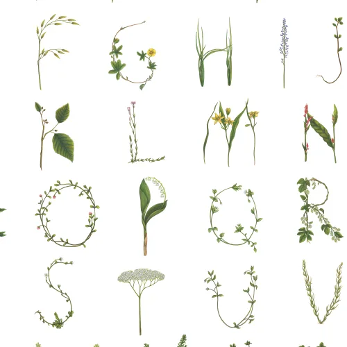 Floral Alphabet Mini English