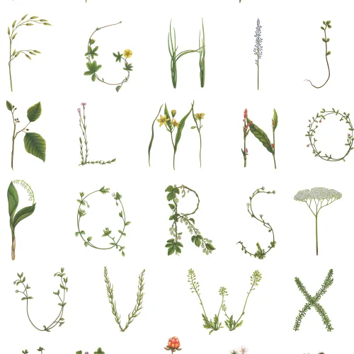 Floral Alphabet Mini Swedish