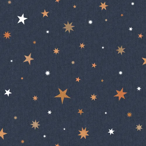 Stardust, Night