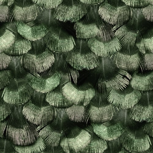 Petite Peackock Plumage, Jade