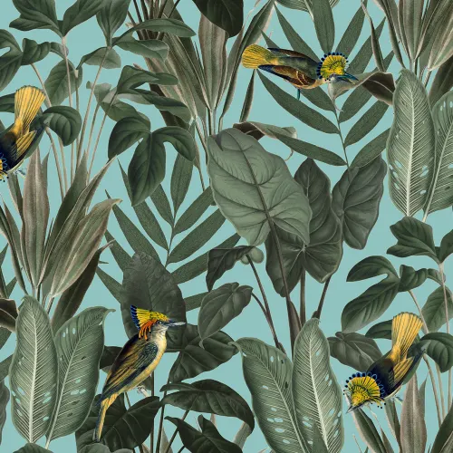 Birds of Paradise, Lush Green