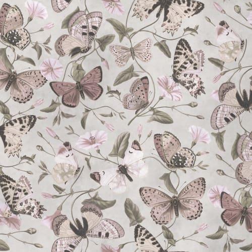 Gracious Butterflies