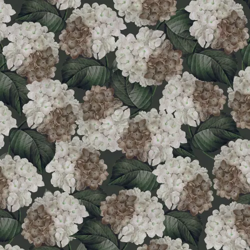 Magnifiques hortensias