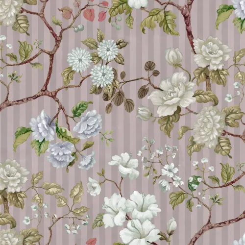Branches Covered in Blossom