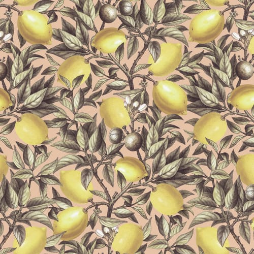 Sitroner med en holdning