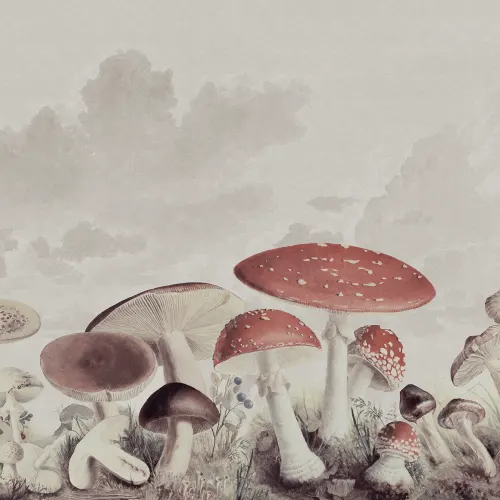 Hang with Mushrooms