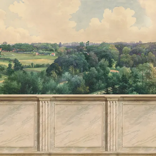 Endless Views