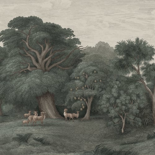 Évasion tropicale