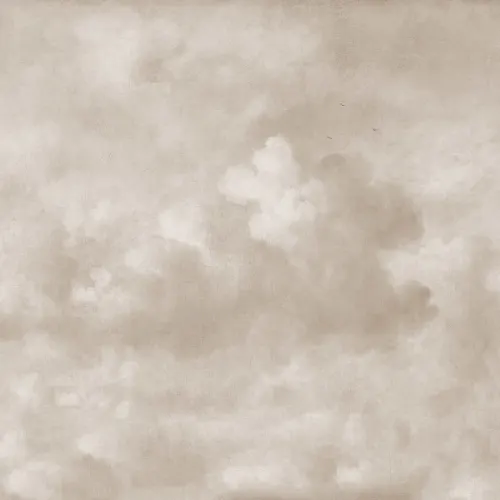 Image Soft