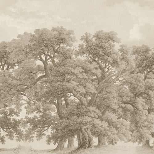 Grand Oaks
