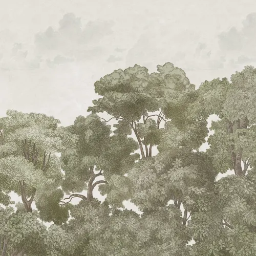 Mysterious Forest